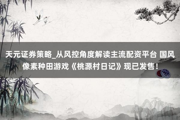 天元证券策略_从风控角度解读主流配资平台 国风像素种田游戏《桃源村日记》现已发售！